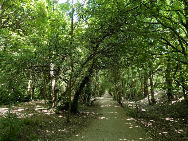 森林健身步道