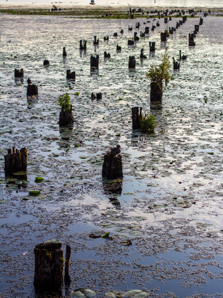 kirkland
