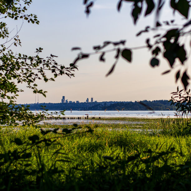 kirkland