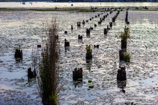 kirkland