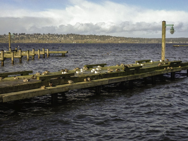 kirkland