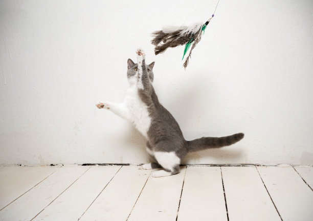 leaping