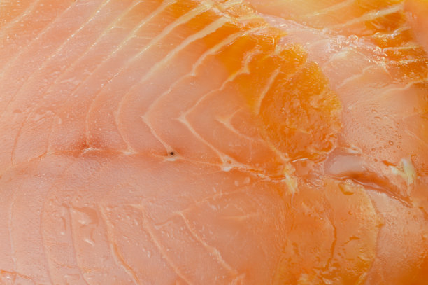 红鲑鱼生鱼片
