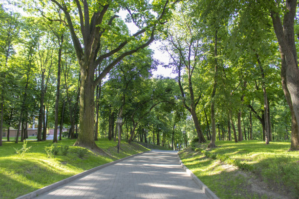 avenue