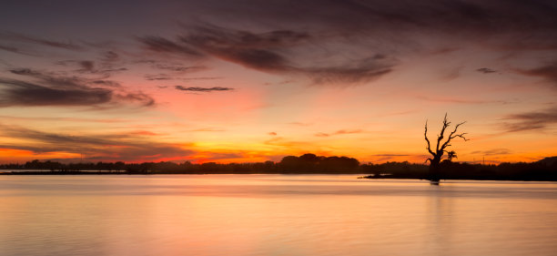 剪影 树木 湖景 黄昏 夕阳 