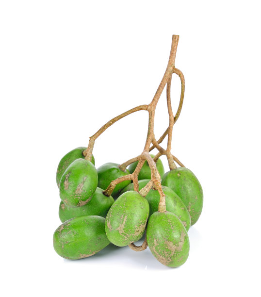 spondias