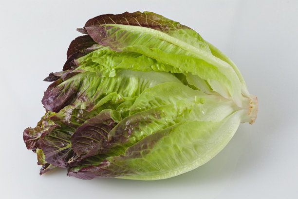 romaine