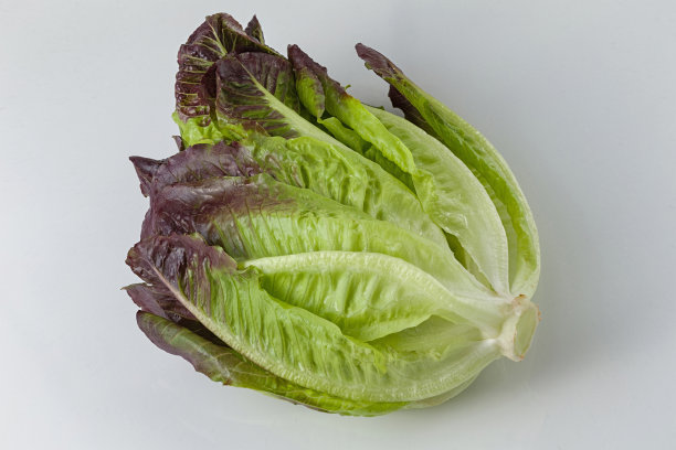 romaine