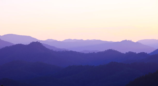 如东背景板