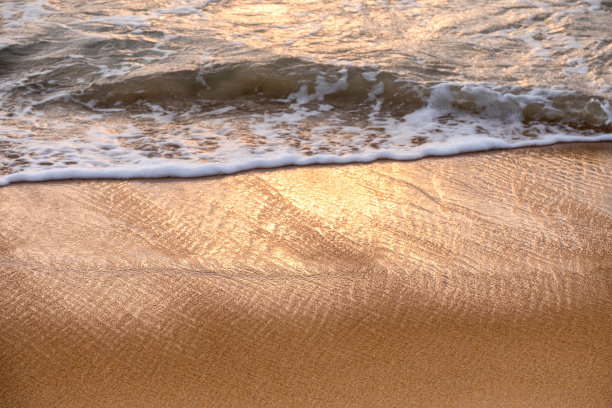 沙滩海滩海水水花泡沫