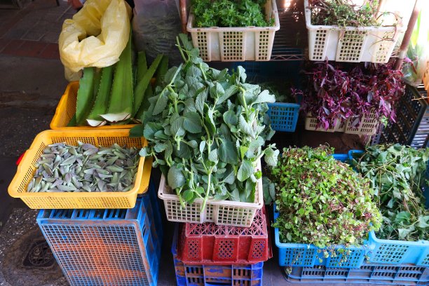 中医药店