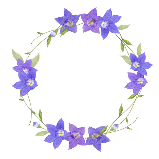 紫蓝色花冠