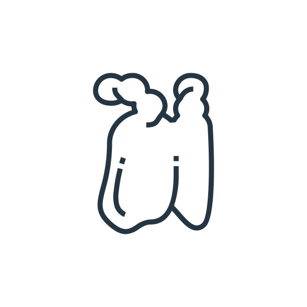 thymus