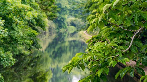 上塘河畔风光