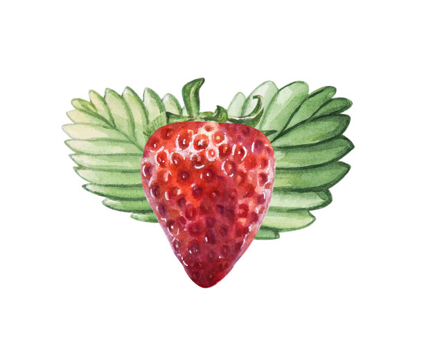 草莓海报设计