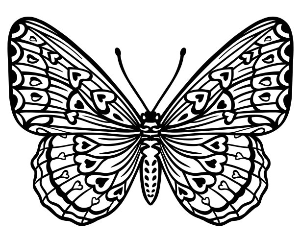 黑白蝴蝶图案