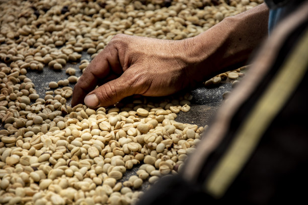 哥伦比亚咖啡豆