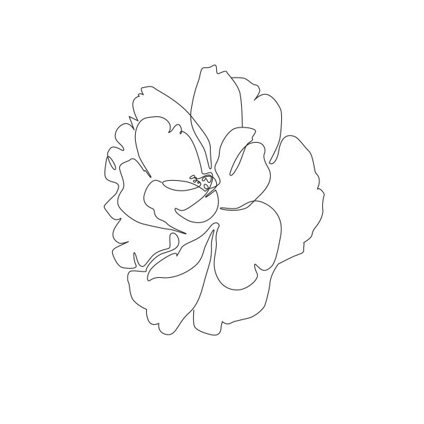 牡丹花logo