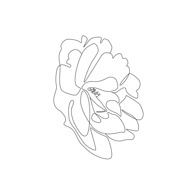 牡丹logo