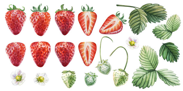 红色草莓海报