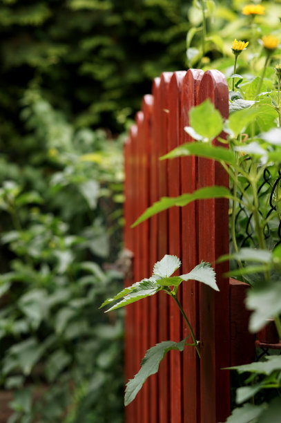 木篱笆菜园