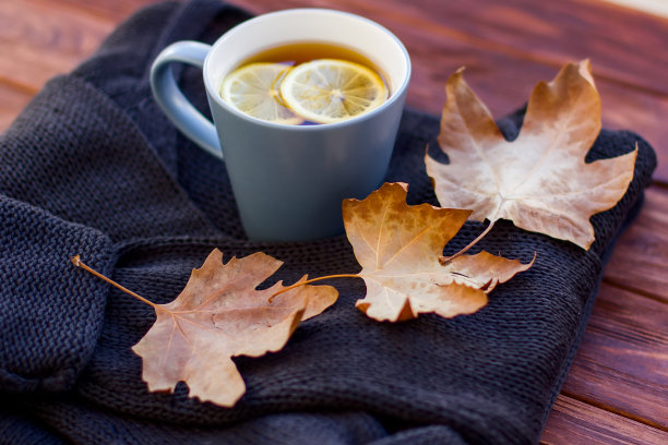 柠檬茶和秋季浆果