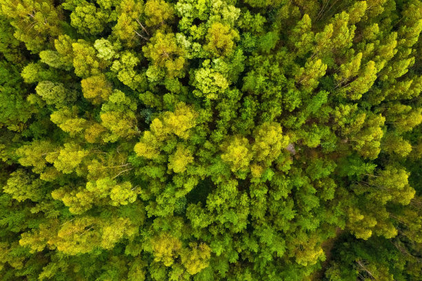 航拍 田园 秋色 金秋时节