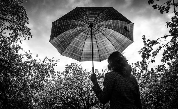 雨伞小花