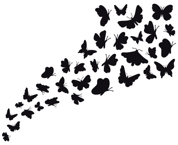 黑白蝴蝶图案