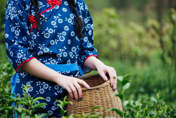 女人美白茶