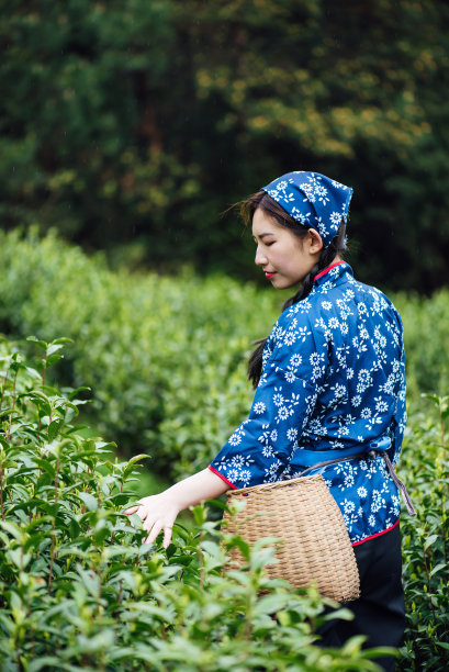 女人美白茶