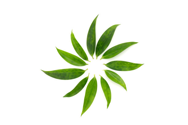绿色圆点点