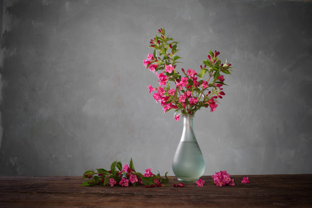 花瓶中美丽的枝叶背景