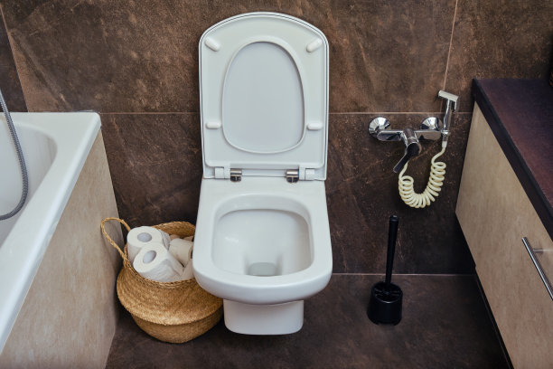 bidet