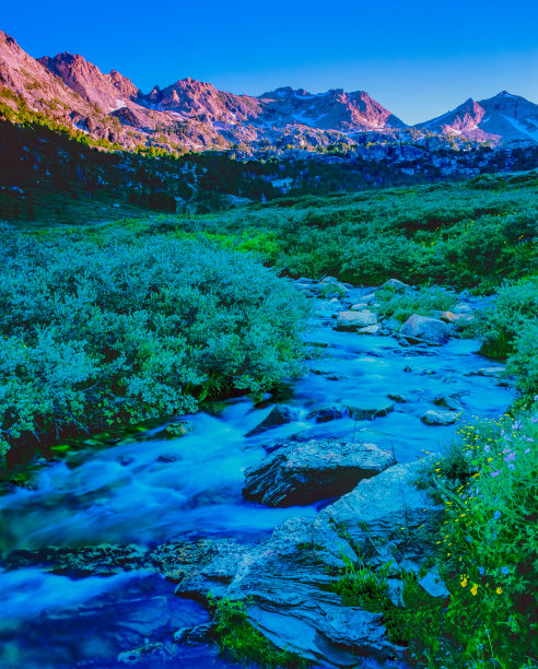 elko