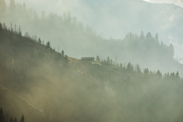 山间树林