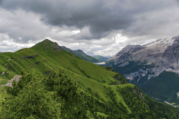 草原山坡背景