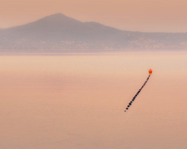 夕阳下的湖面候鸟