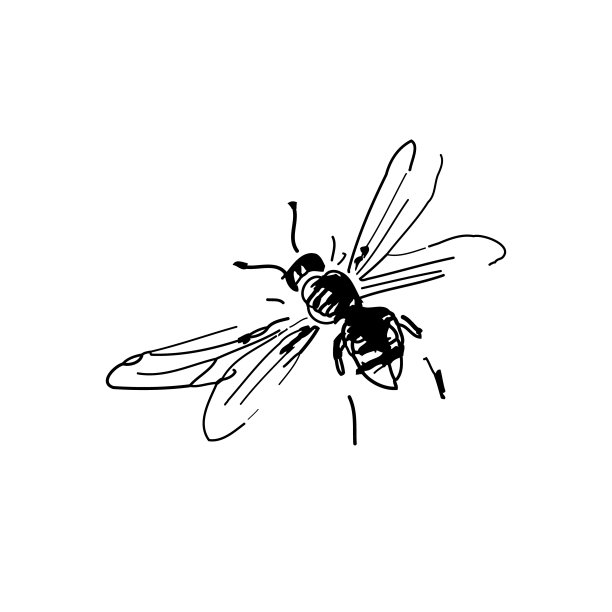 蜂蜜插画