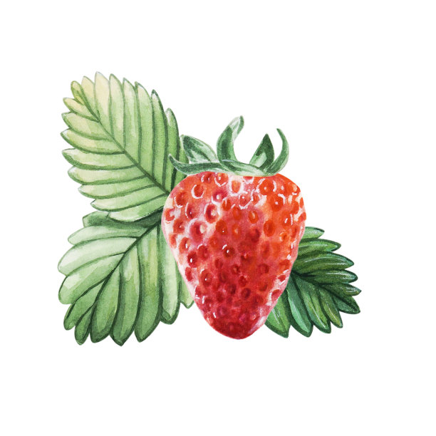 草莓海报设计