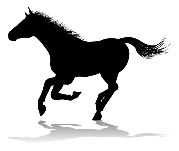 黑马logo设计