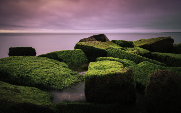 绿色海洋与岩石