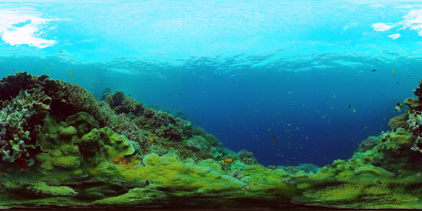 珊瑚礁海水