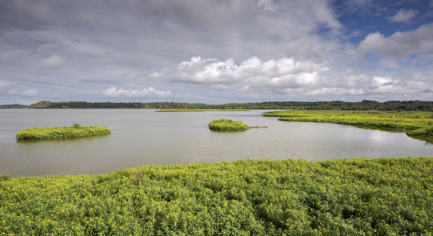 生态文明保护湿地公园