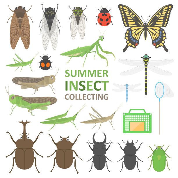 entomology