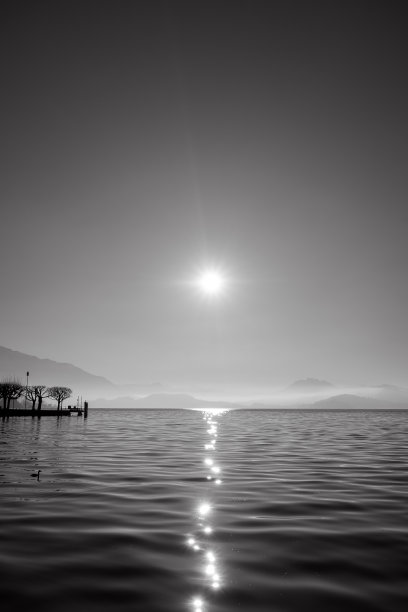 飞鸟蓝色大海壁纸