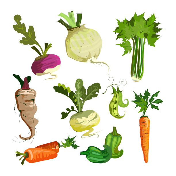农业,芹菜,蔬菜