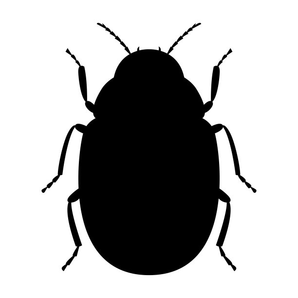 昆虫标志logo