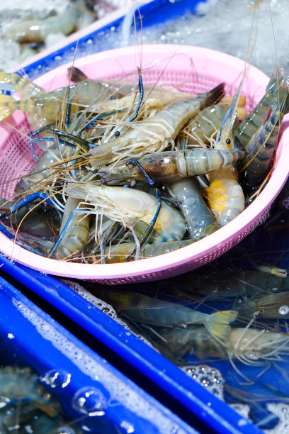 泰国黑虎虾