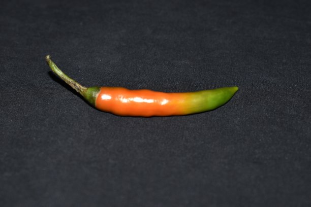 cayenne